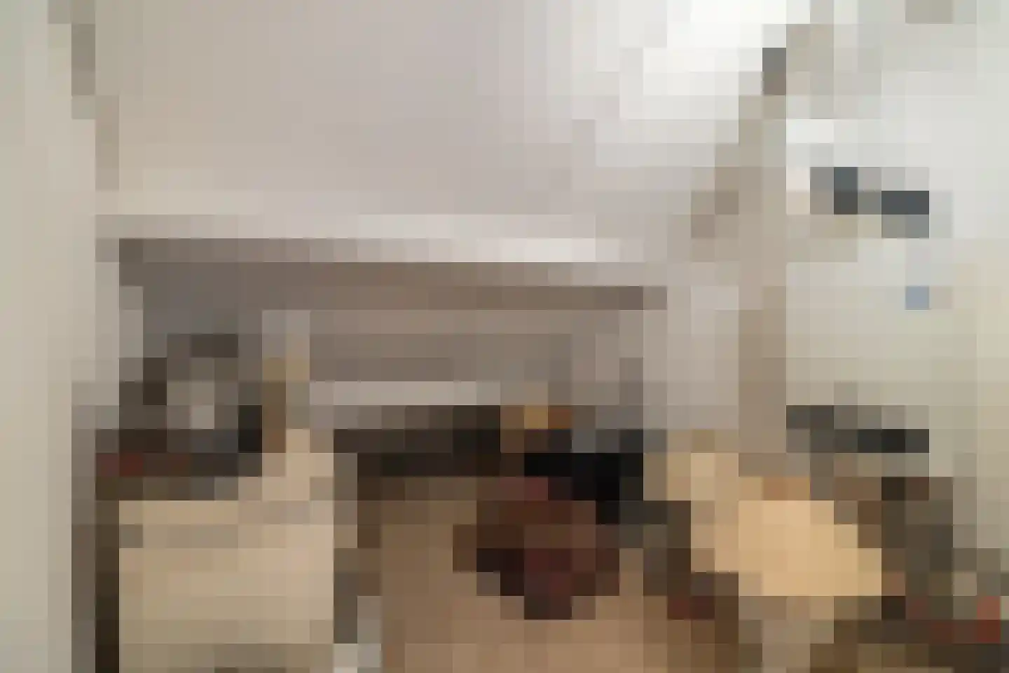 Albert Schweitzerstraat 10 Goirle thumbnail 32