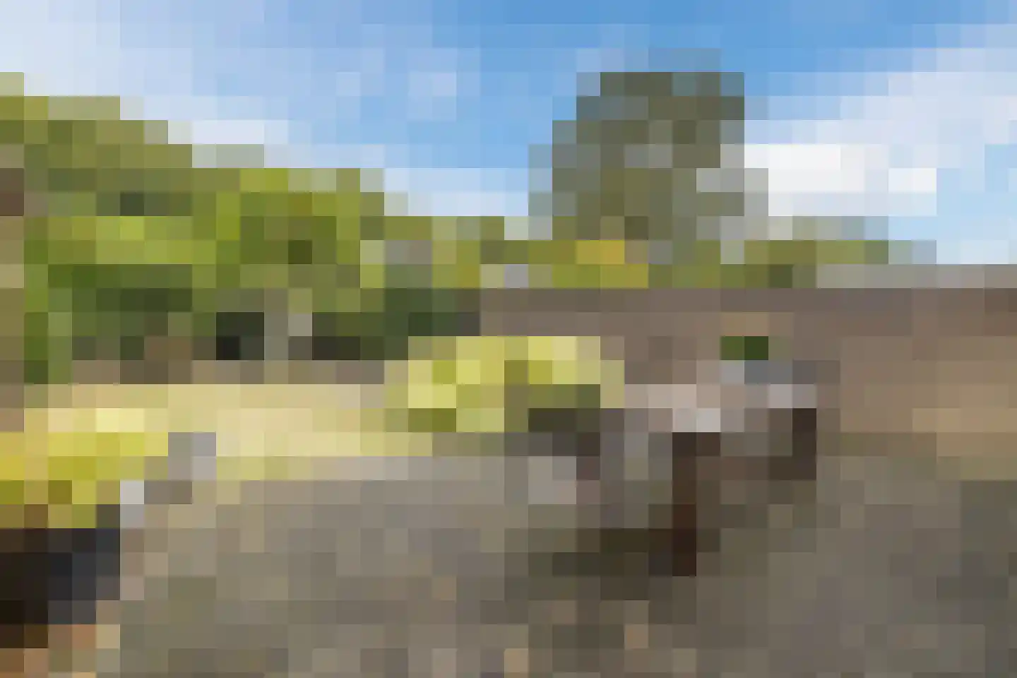 Albert Schweitzerstraat 10 Goirle thumbnail 34