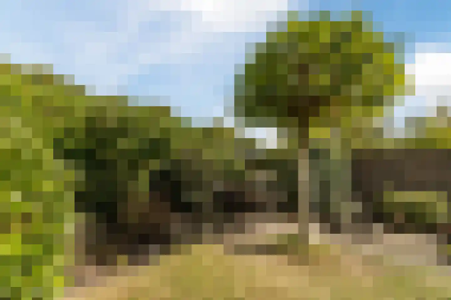 Albert Schweitzerstraat 10 Goirle thumbnail 37