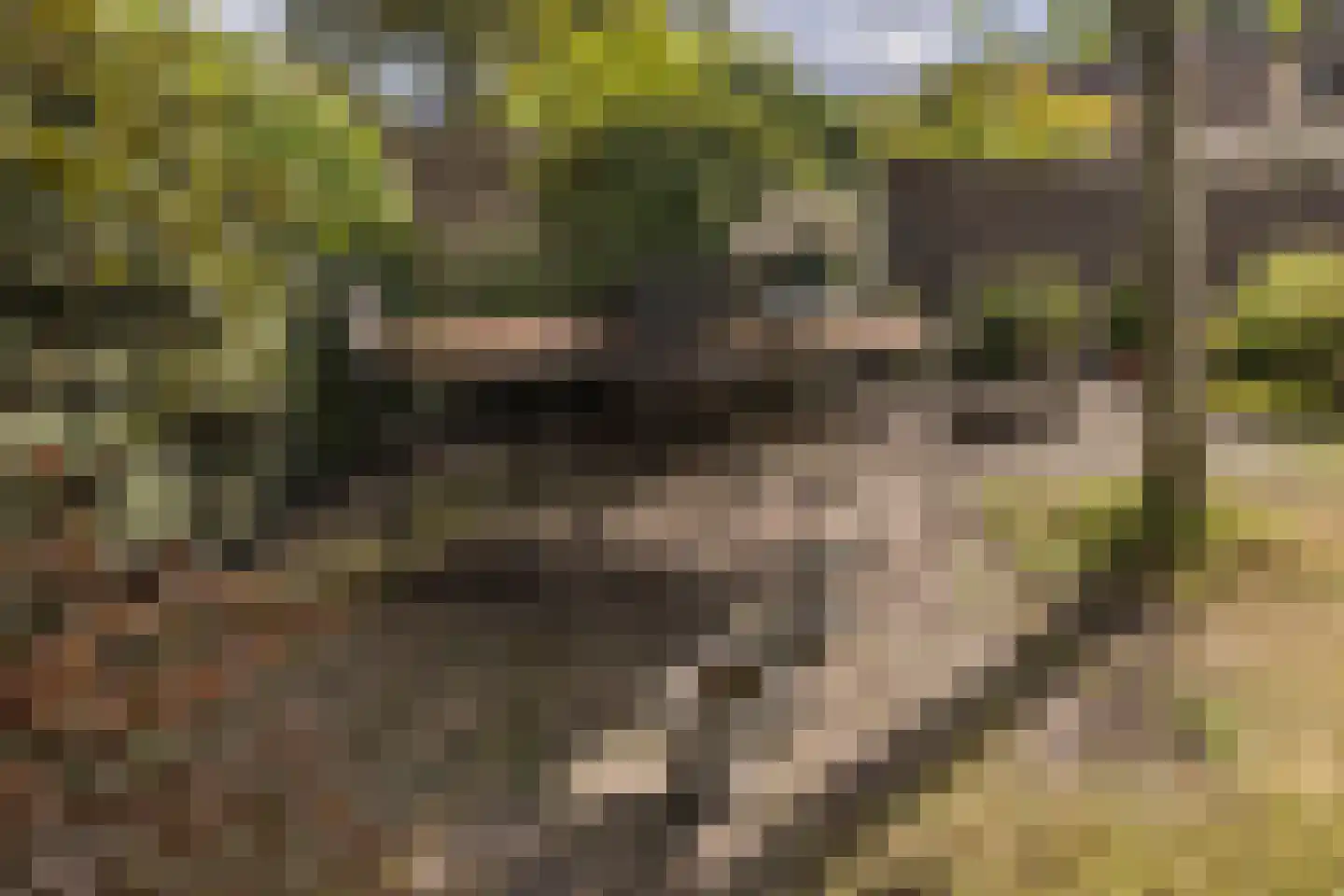 Albert Schweitzerstraat 10 Goirle thumbnail 38