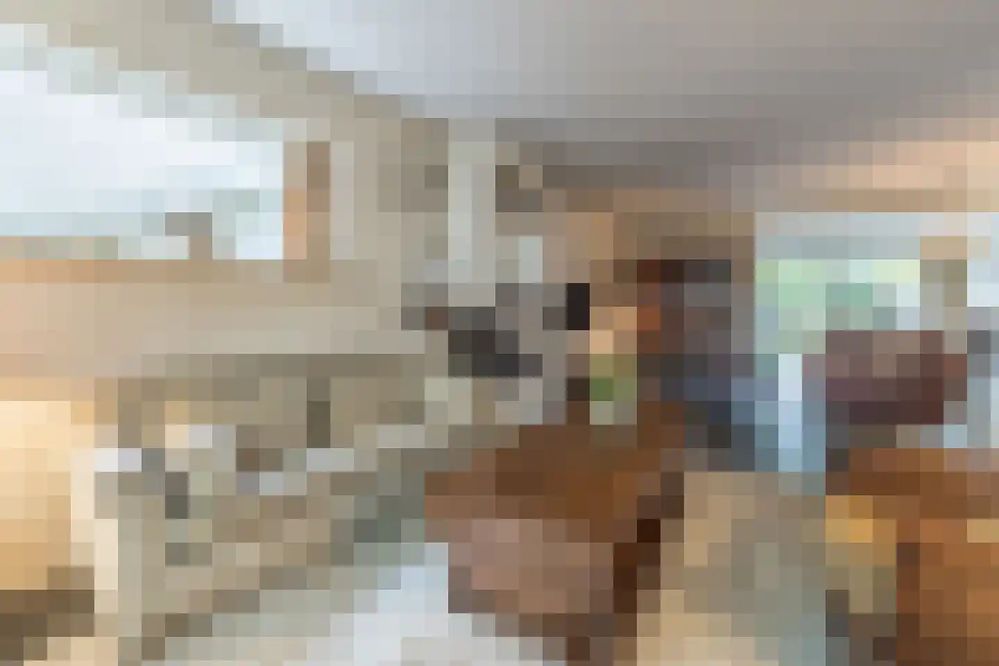 Albert Schweitzerstraat 10 Goirle thumbnail 4