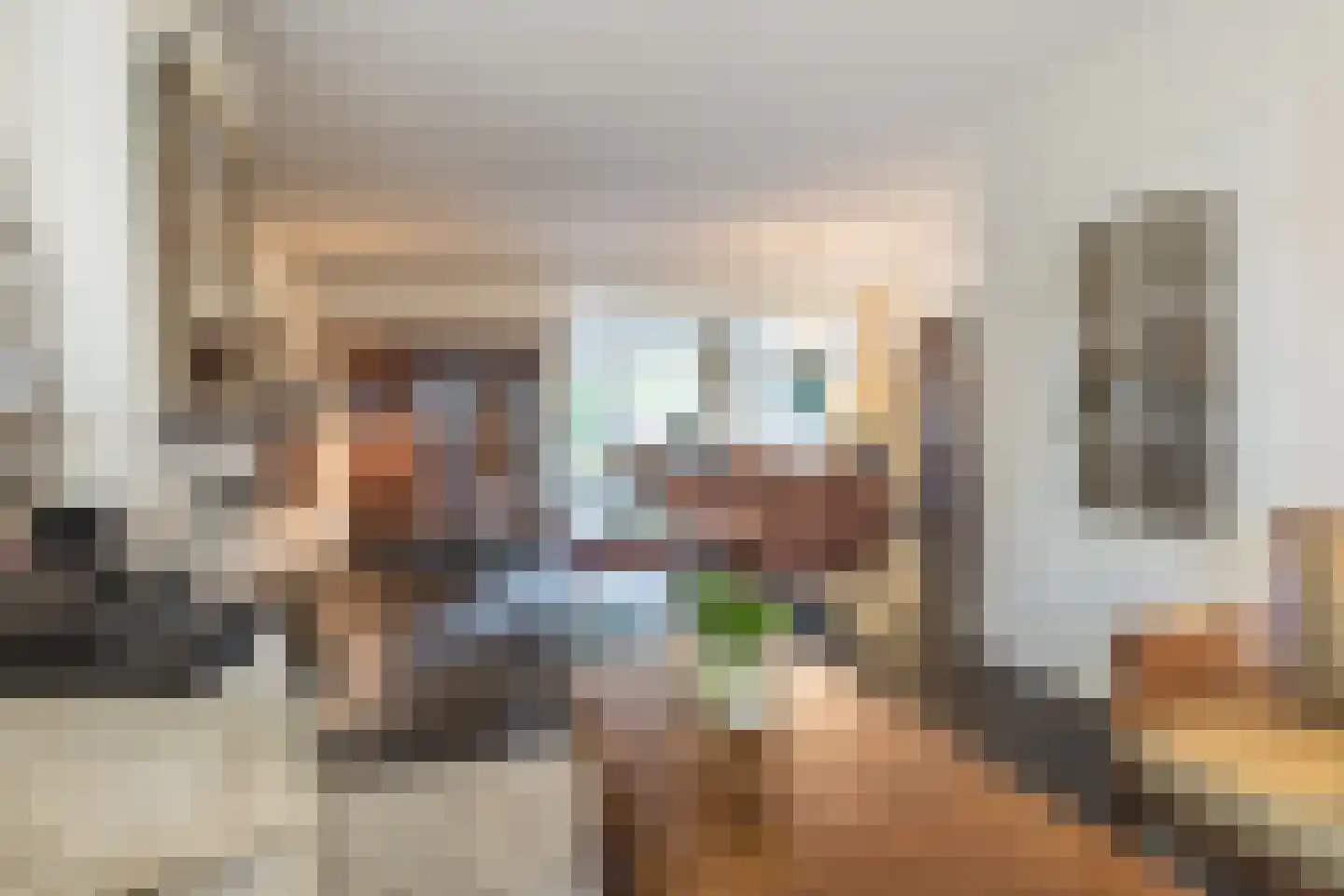 Albert Schweitzerstraat 10 Goirle thumbnail 5
