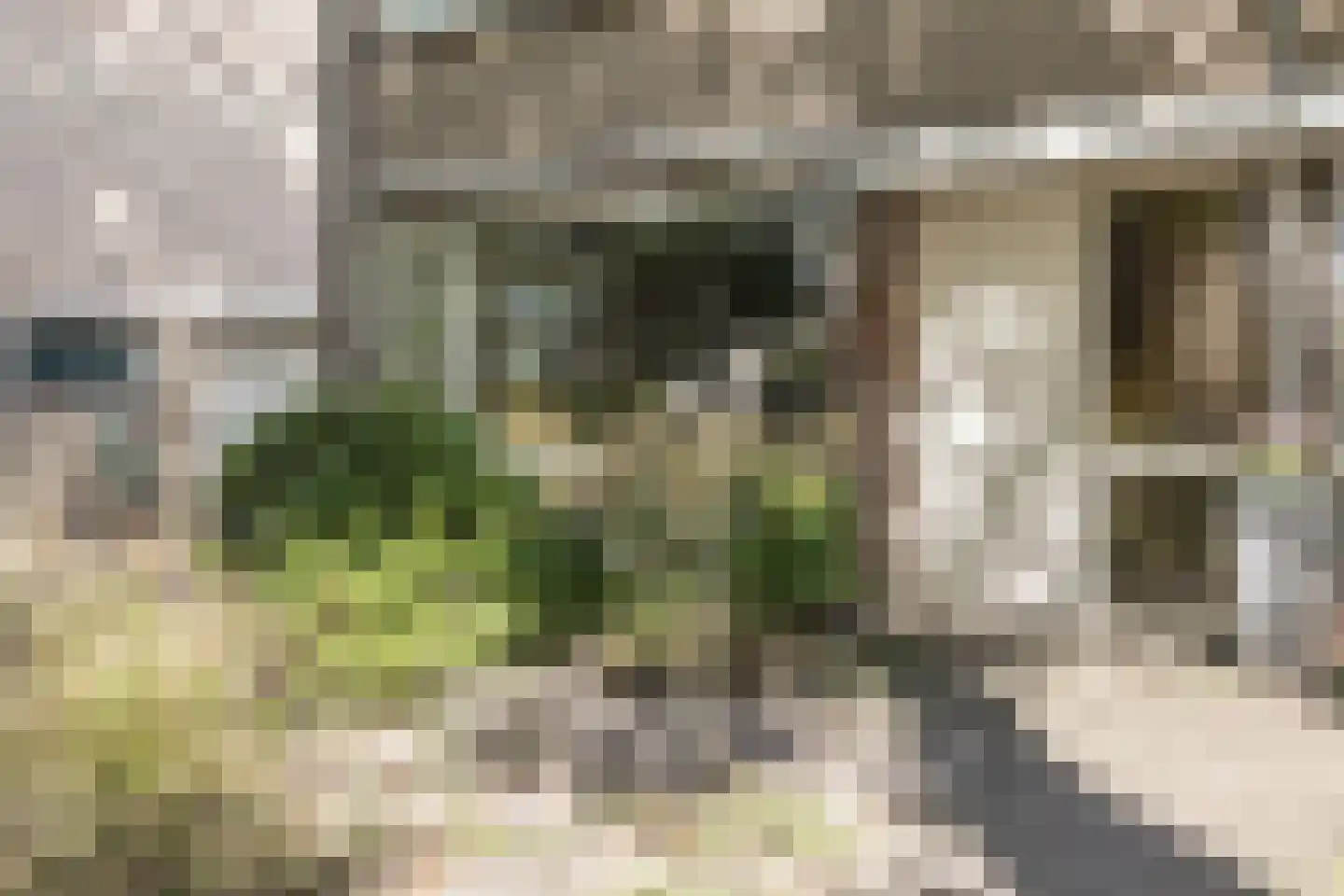 Albert Schweitzerstraat 10 Goirle thumbnail 50