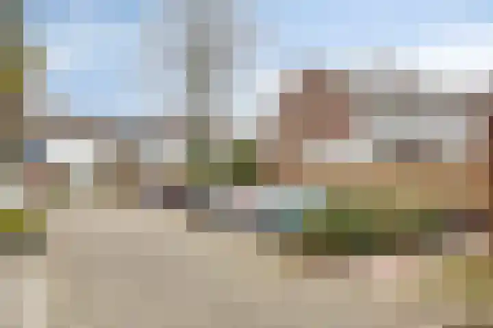 Albert Schweitzerstraat 13 Horst thumbnail 30