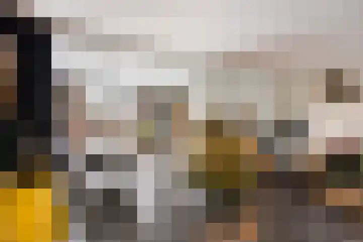 Albert Schweitzerstraat 13 Horst thumbnail 4