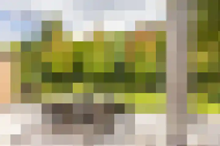 Albert Schweitzerstraat 16 Hengelo thumbnail 33