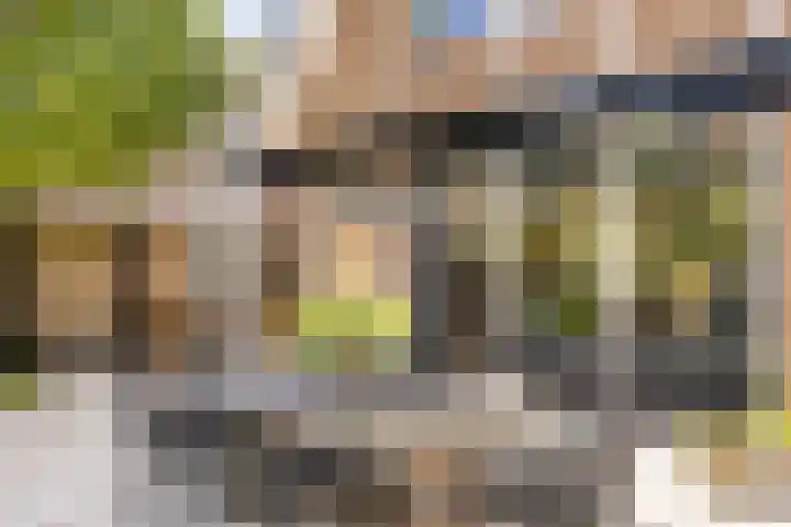 Albert Schweitzerstraat 16 Hengelo thumbnail 41