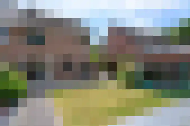 Albert Schweitzerstraat 21 Groesbeek thumbnail 20