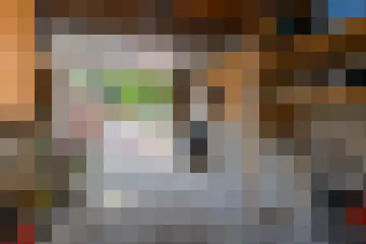 Albert Schweitzerstraat 21 Groesbeek thumbnail 47