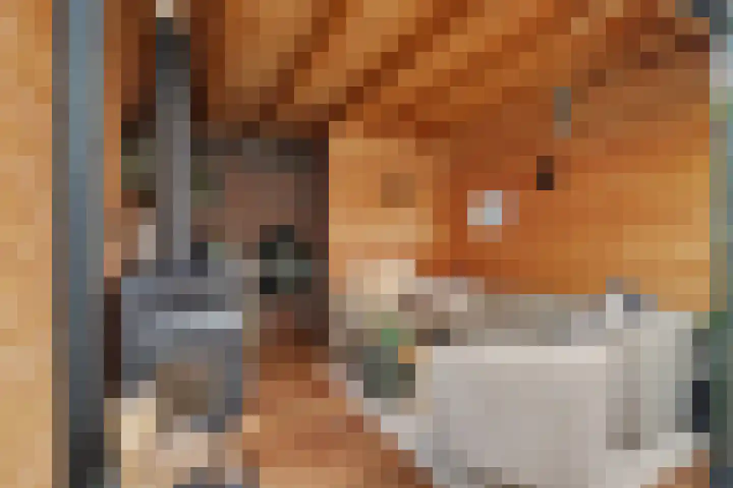 Albert Schweitzerstraat 25 Reeuwijk thumbnail 4