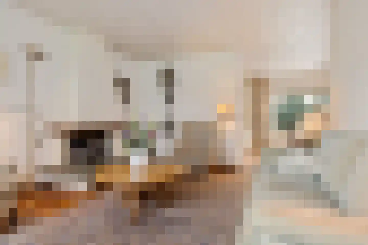 Albert Schweitzerstraat 28 Hengelo thumbnail 4