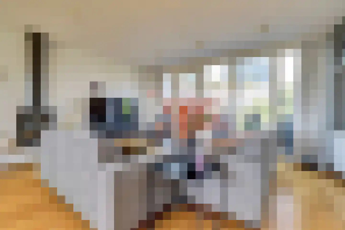 Albert Schweitzerstraat 28 Veenendaal thumbnail 15