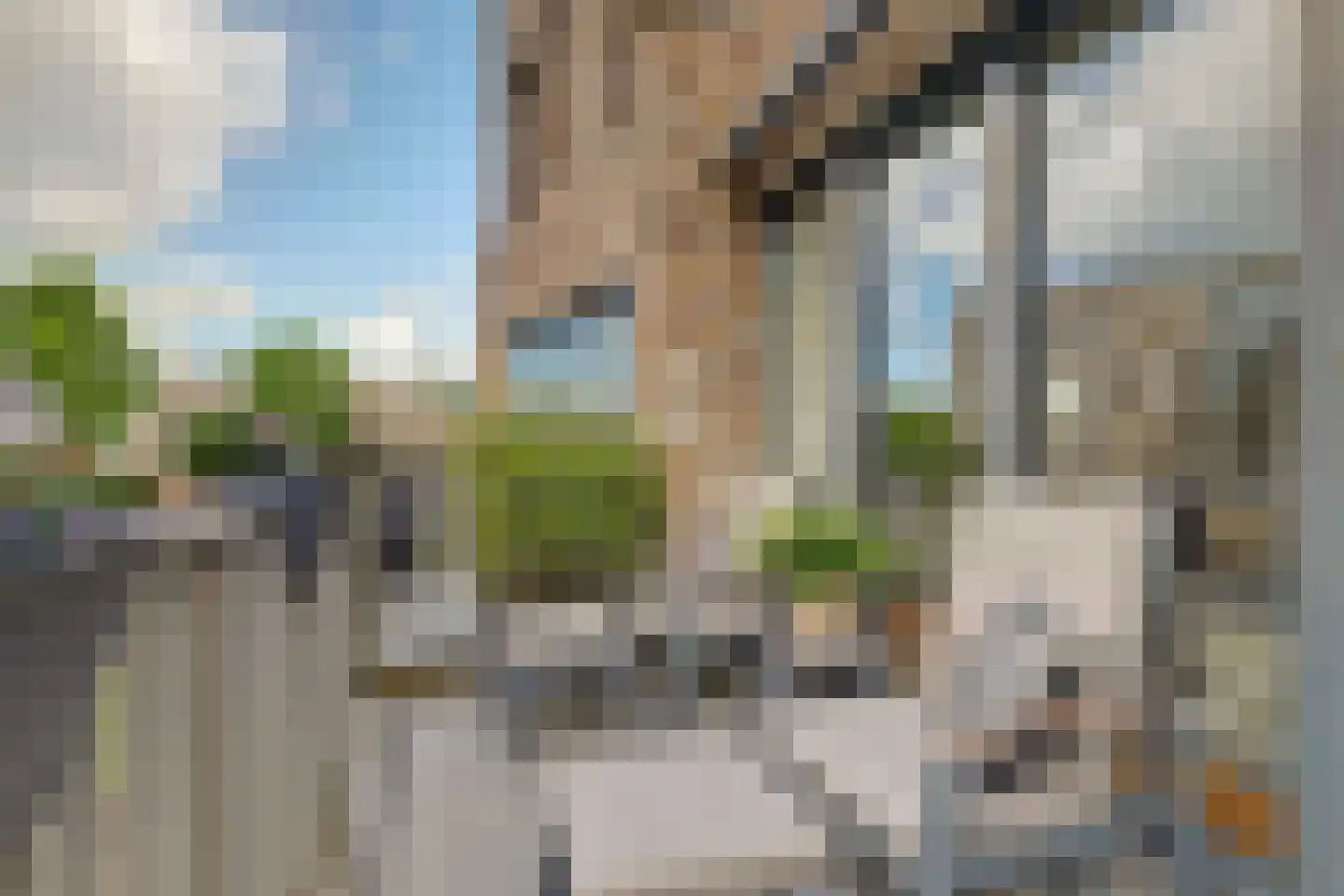 Albert Schweitzerstraat 28 Veenendaal thumbnail 21