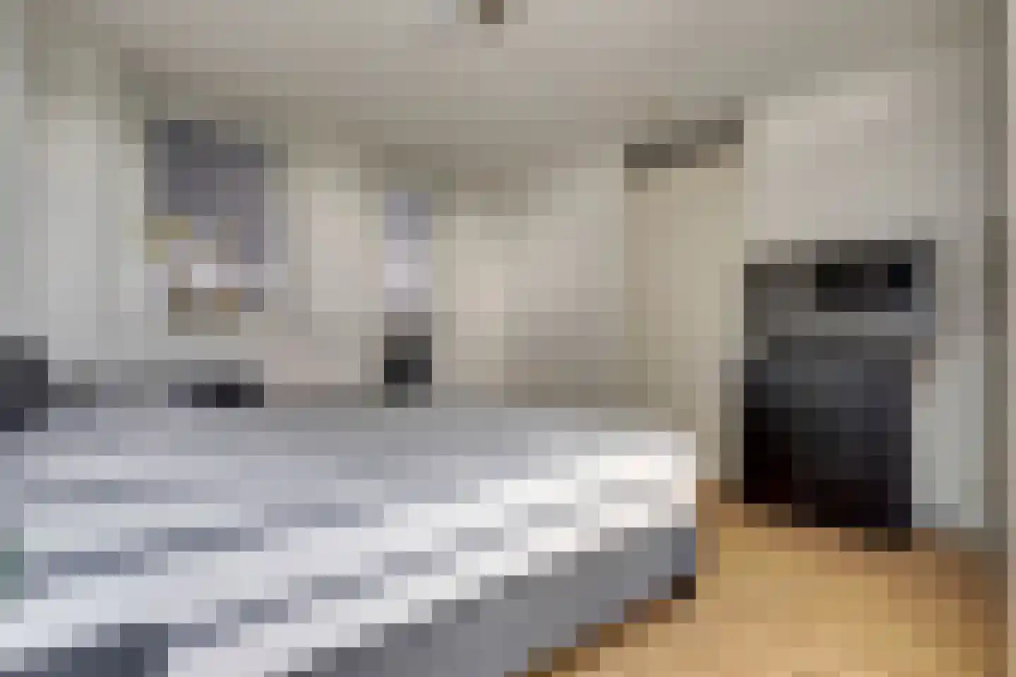 Albert Schweitzerstraat 28 Veenendaal thumbnail 37