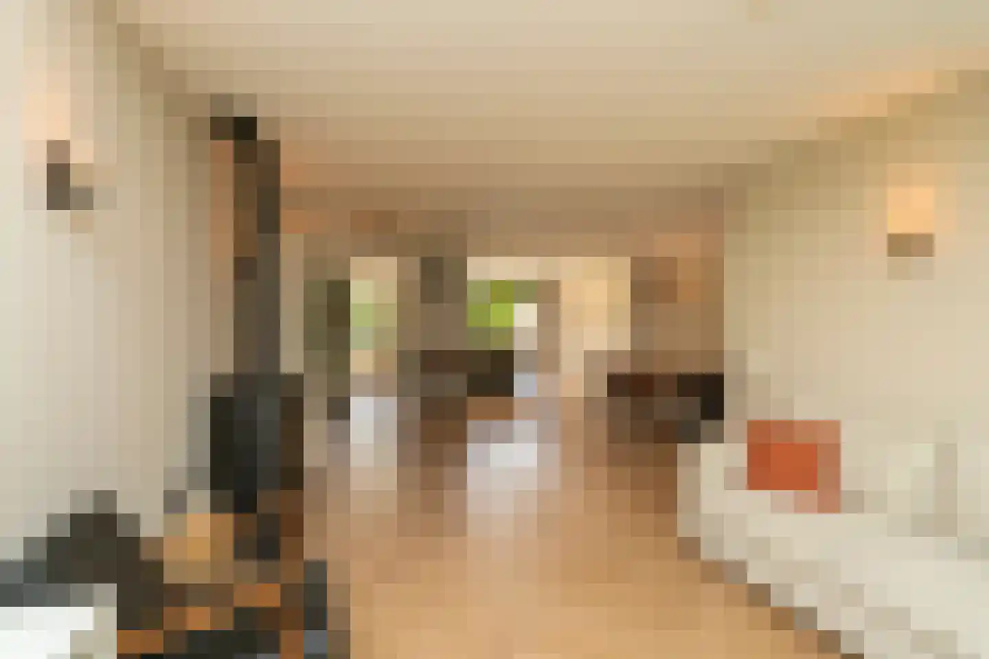 Albert Schweitzerstraat 3 Goirle thumbnail 10