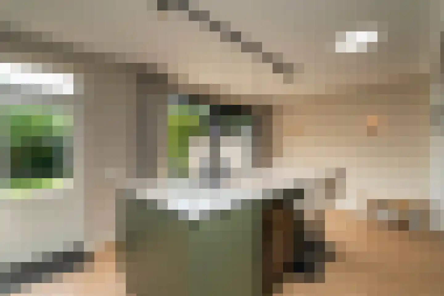 Albert Schweitzerstraat 3 Goirle thumbnail 13
