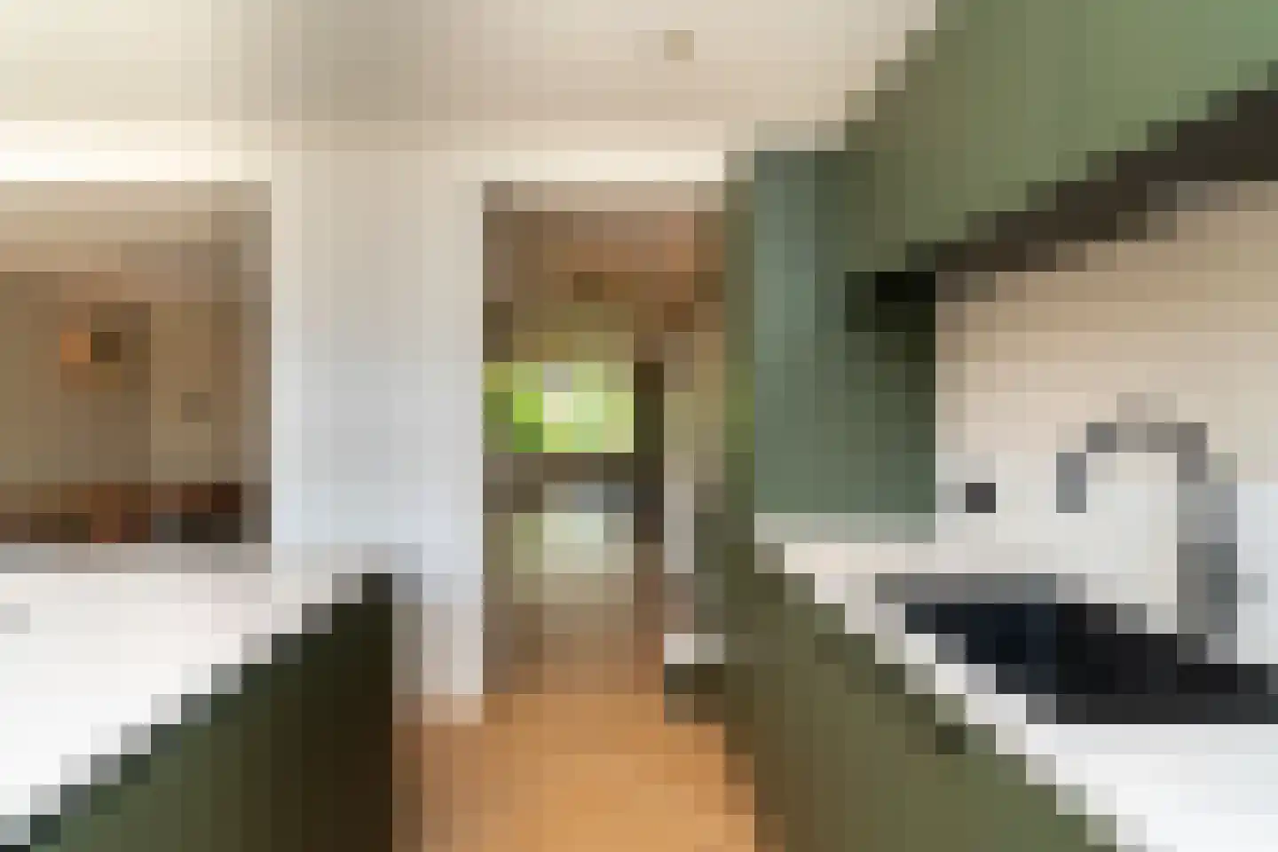 Albert Schweitzerstraat 3 Goirle thumbnail 17