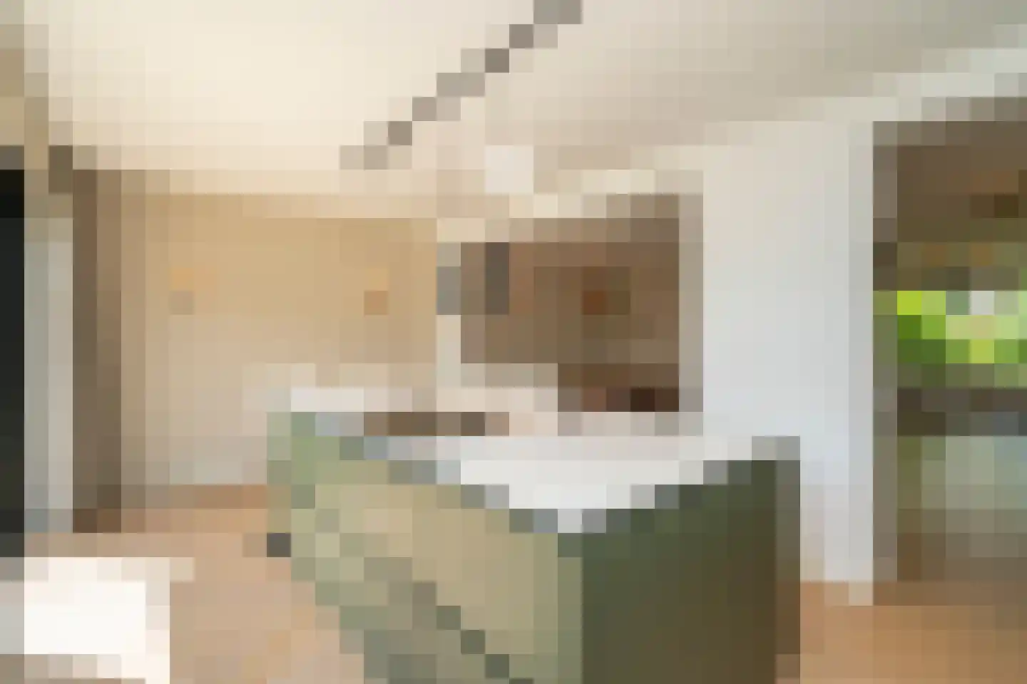 Albert Schweitzerstraat 3 Goirle thumbnail 18