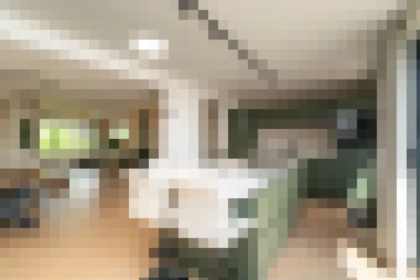 Albert Schweitzerstraat 3 Goirle thumbnail 19