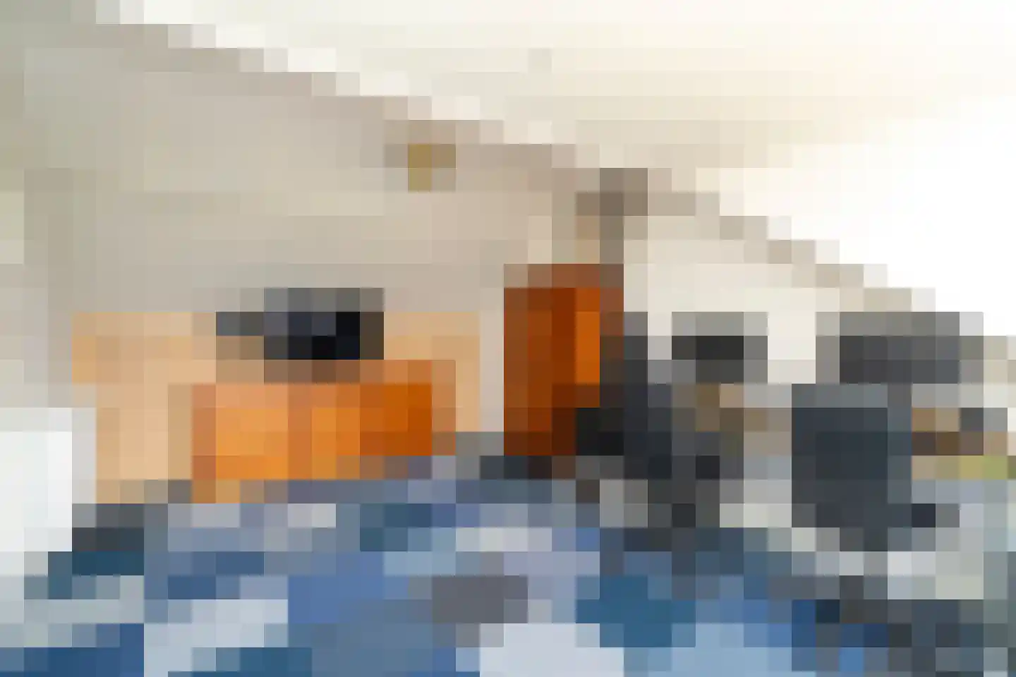 Albert Schweitzerstraat 3 Goirle thumbnail 35