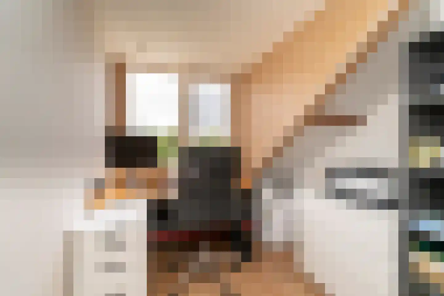 Albert Schweitzerstraat 3 Goirle thumbnail 36