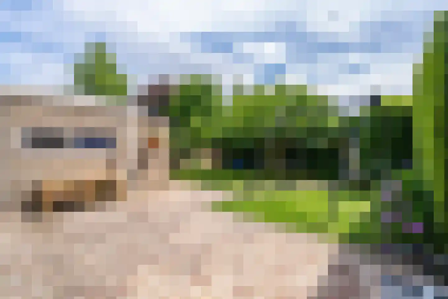 Albert Schweitzerstraat 3 Goirle thumbnail 42
