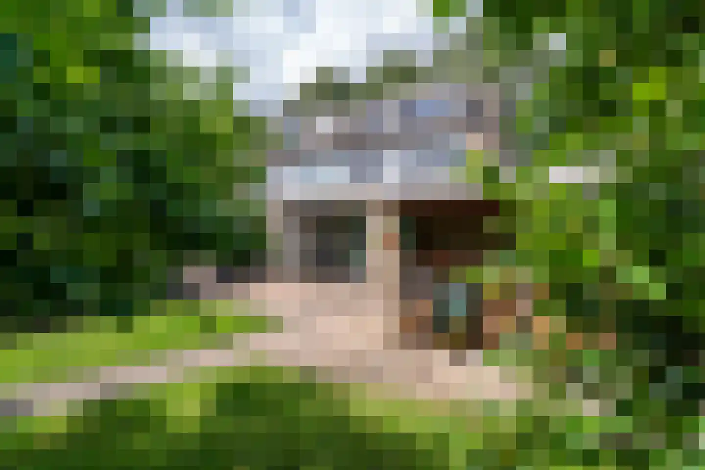 Albert Schweitzerstraat 3 Goirle thumbnail 43