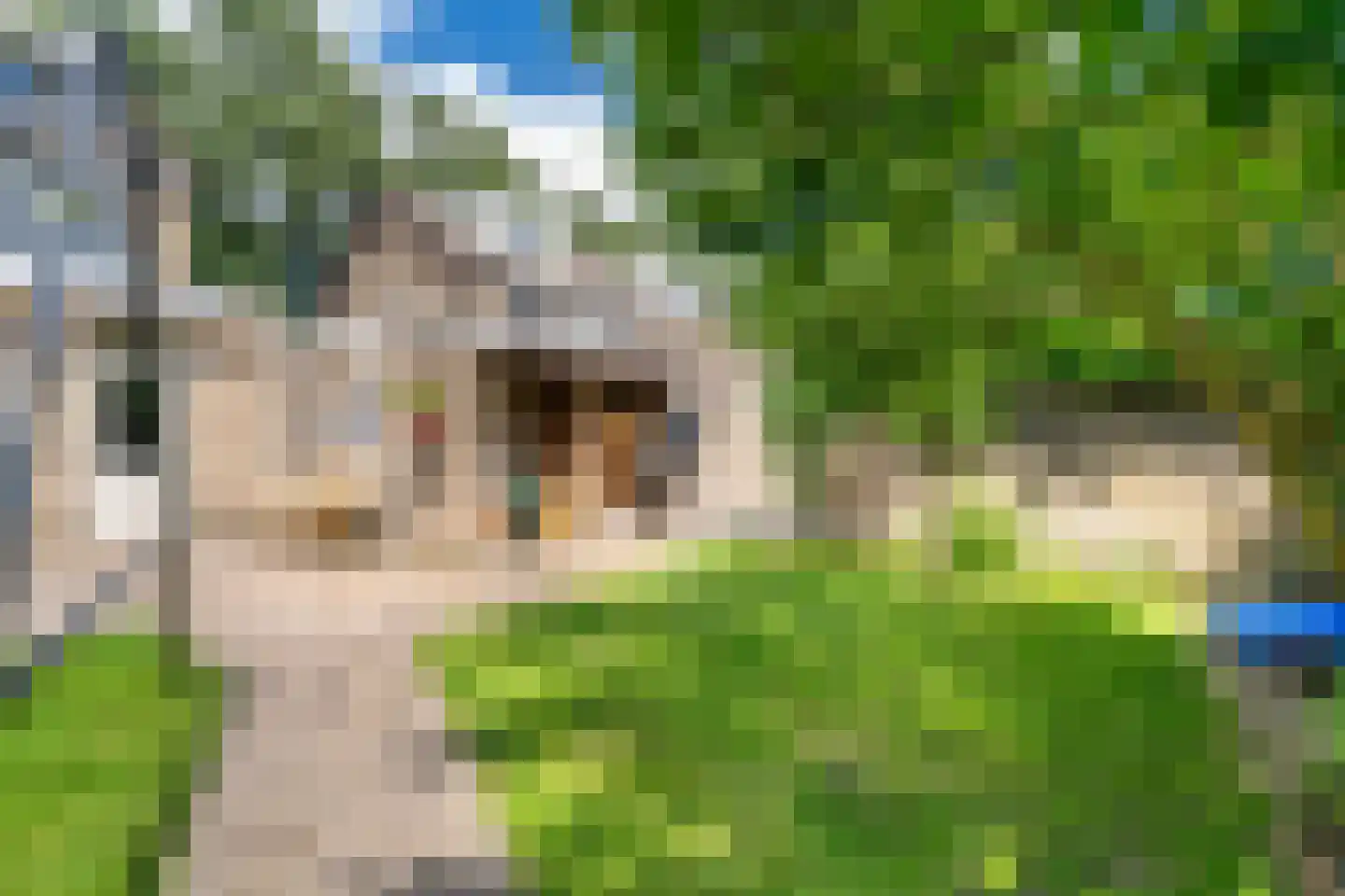 Albert Schweitzerstraat 3 Goirle thumbnail 44