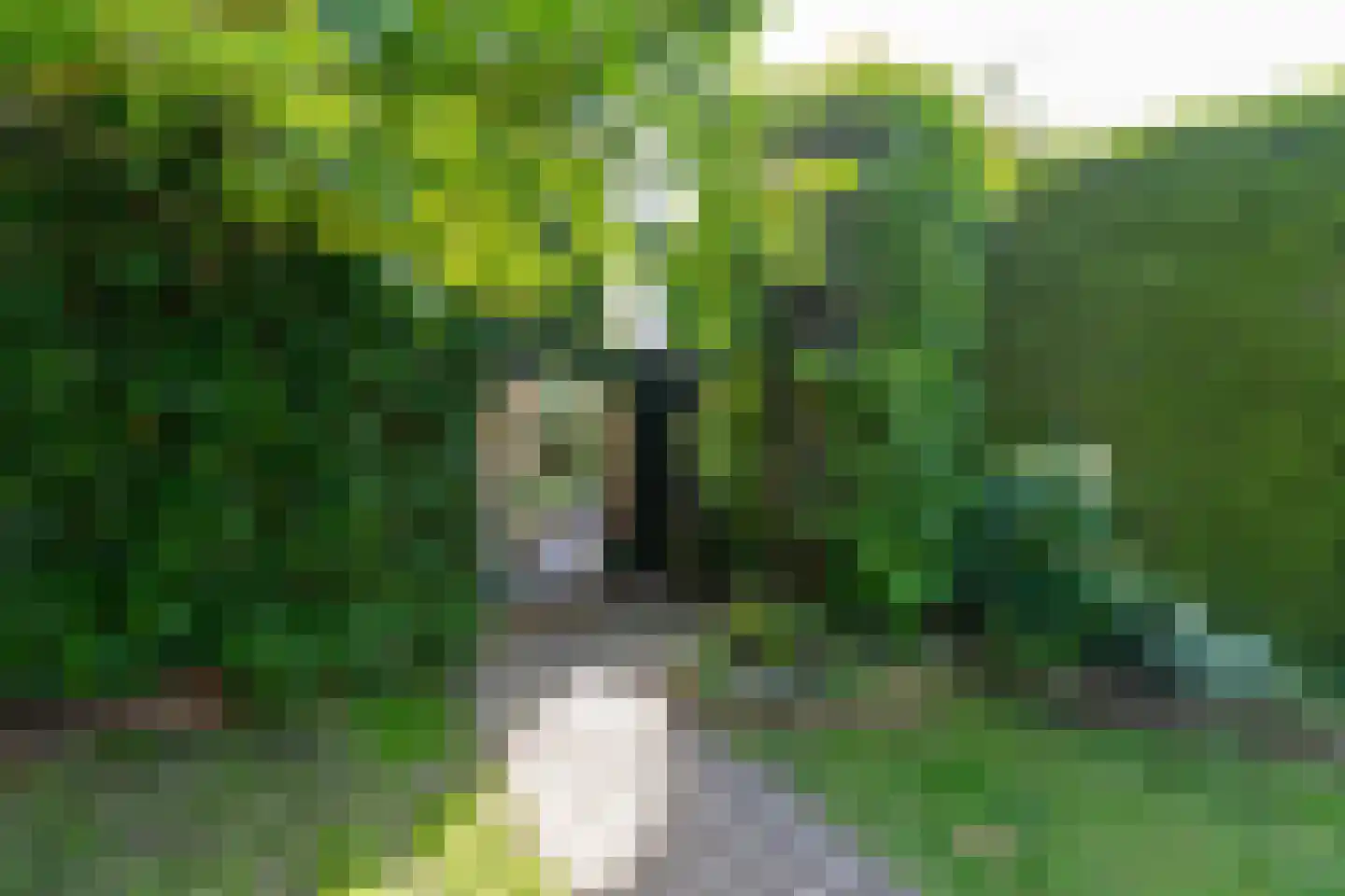 Albert Schweitzerstraat 3 Goirle thumbnail 45