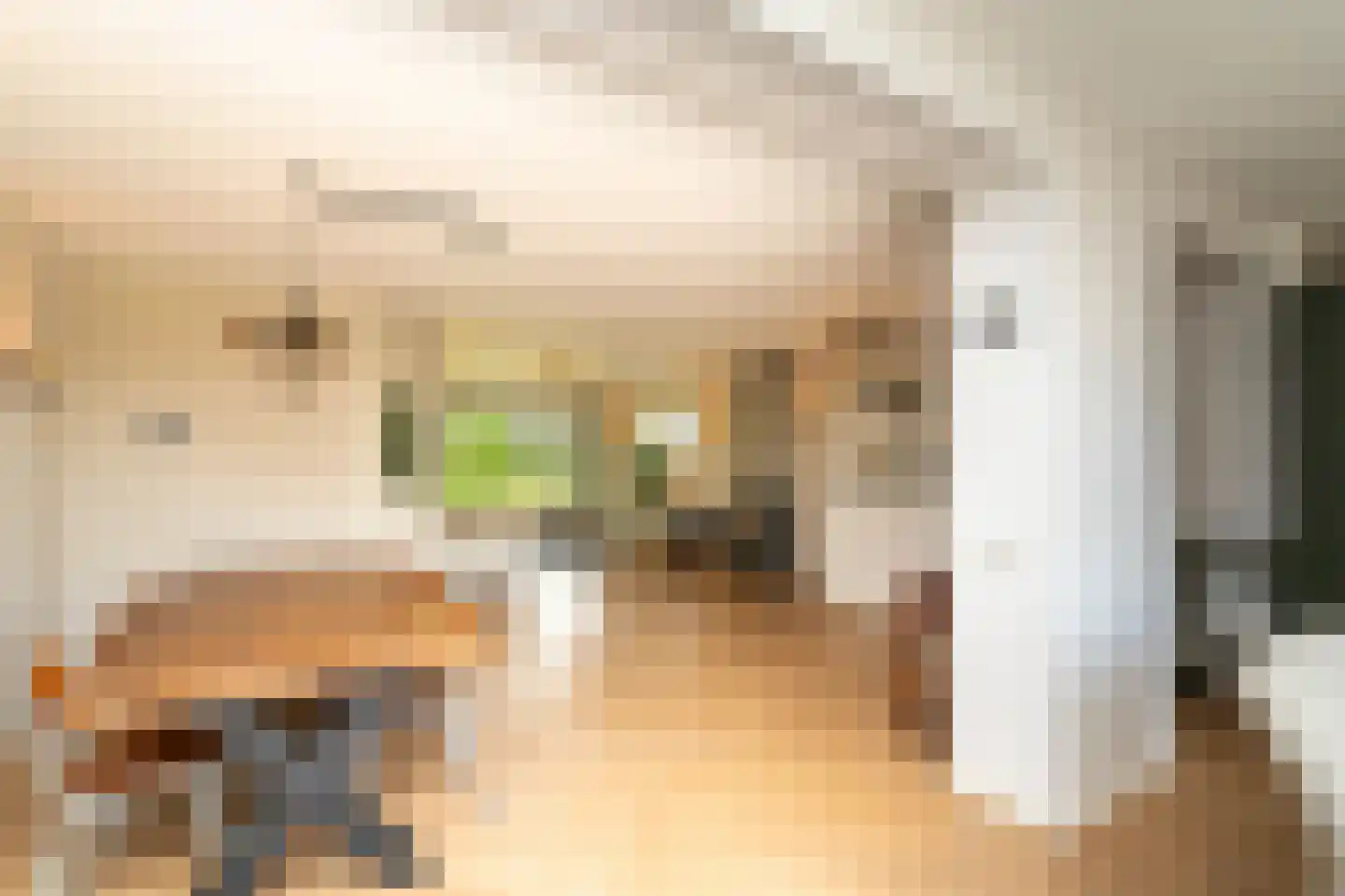 Albert Schweitzerstraat 3 Goirle thumbnail 8