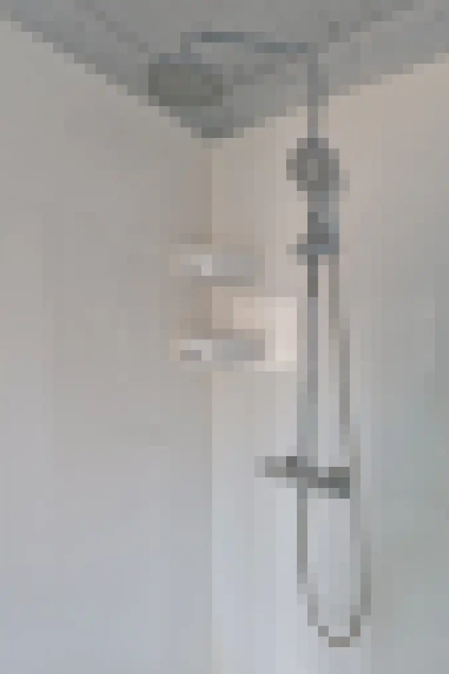 Albert Schweitzerstraat 32 Reeuwijk thumbnail 38