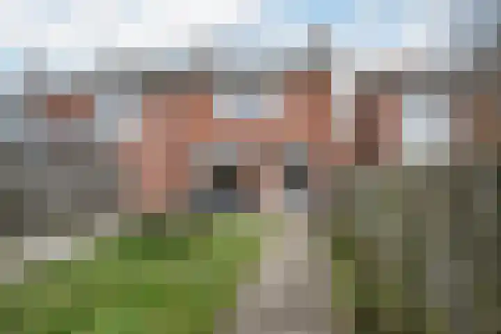 Albert Schweitzerstraat 37 Sint-Maartensdijk thumbnail 23