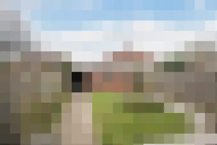 Albert Schweitzerstraat 37 Sint-Maartensdijk thumbnail 5