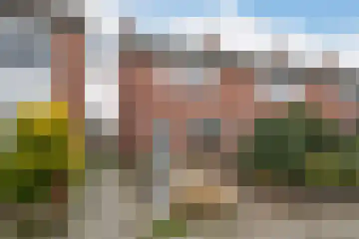 Albert Schweitzerstraat 37 Sint-Maartensdijk thumbnail 6