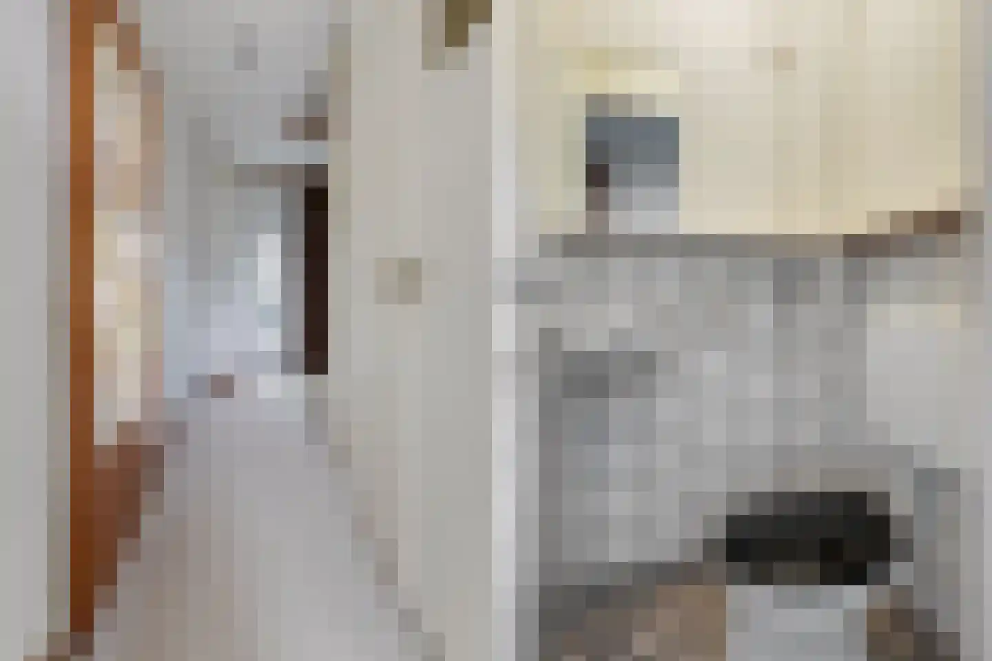 Albert Schweitzerstraat 4 Reeuwijk thumbnail 10