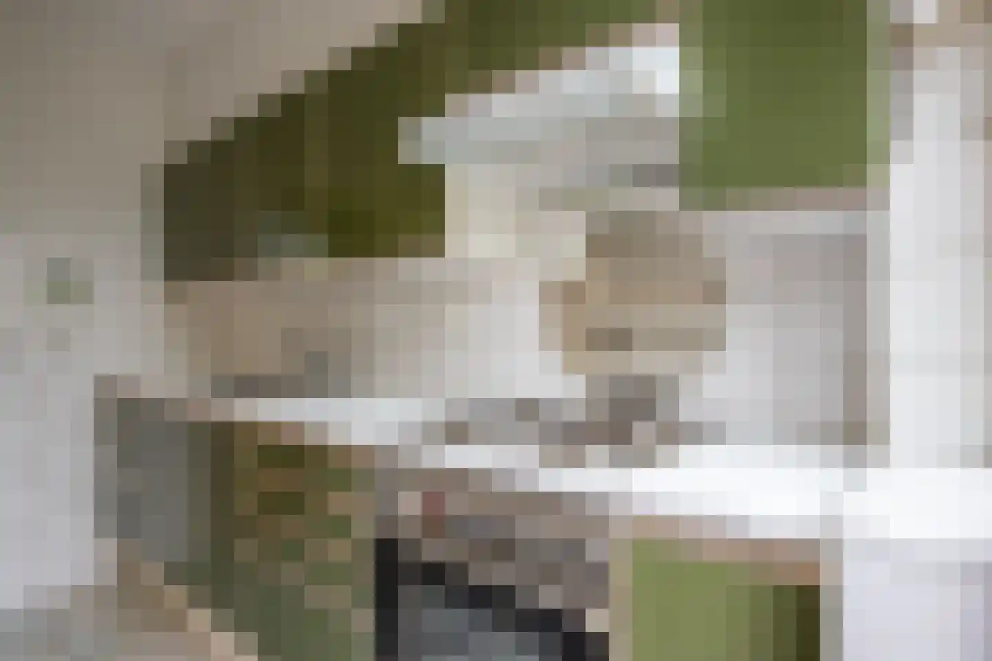 Albert Schweitzerstraat 4 Reeuwijk thumbnail 17
