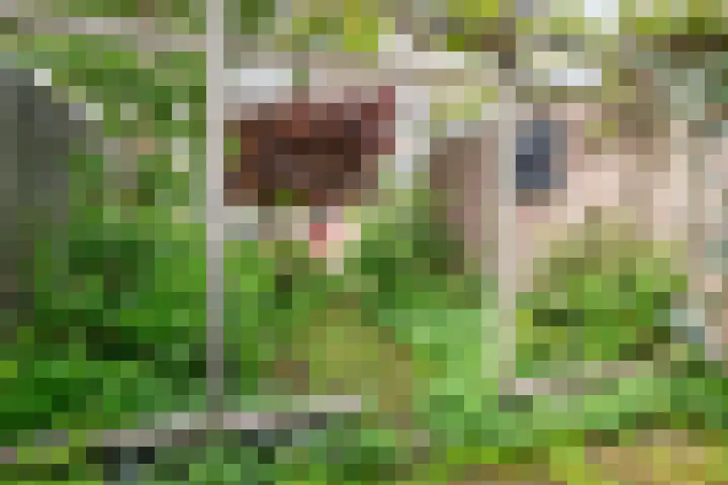 Albert Schweitzerstraat 4 Reeuwijk thumbnail 41