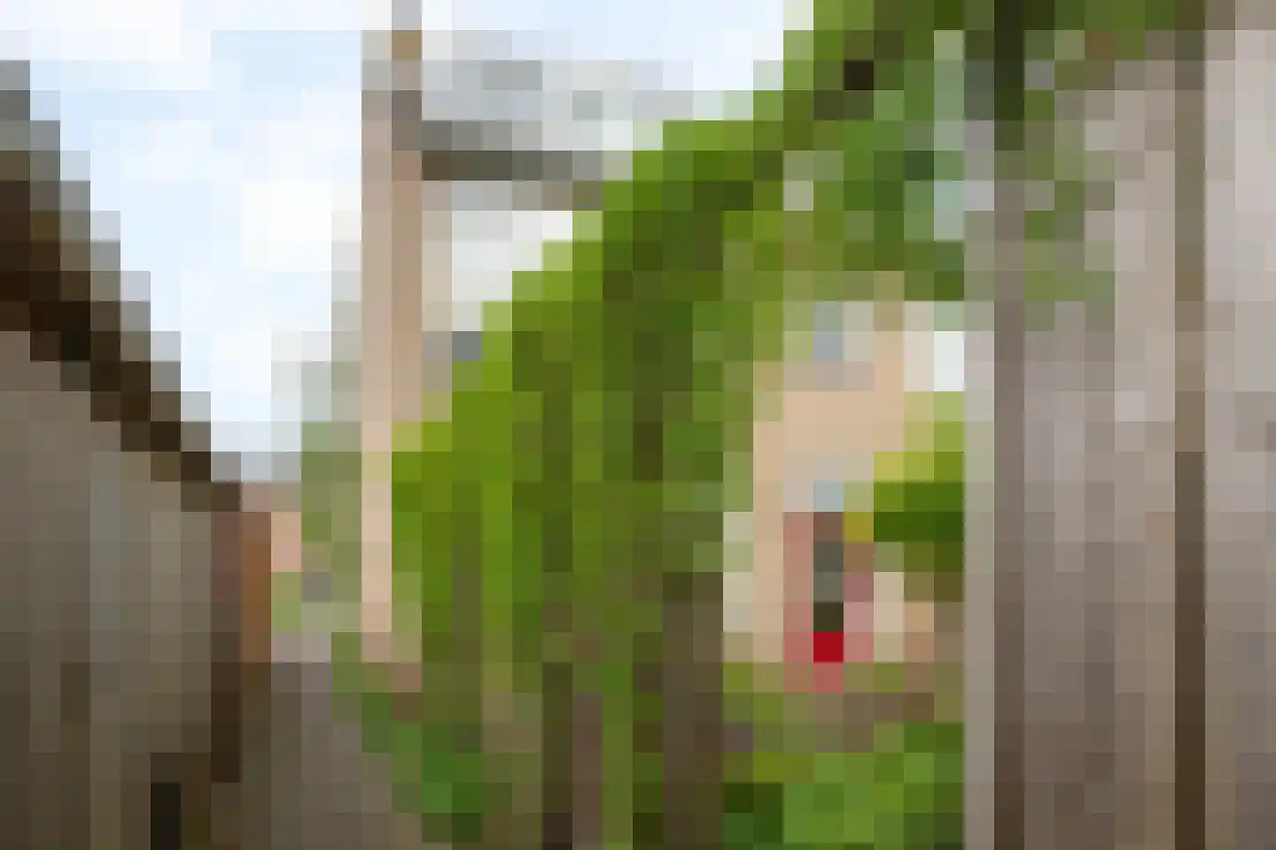 Albert Schweitzerstraat 4 Reeuwijk thumbnail 44
