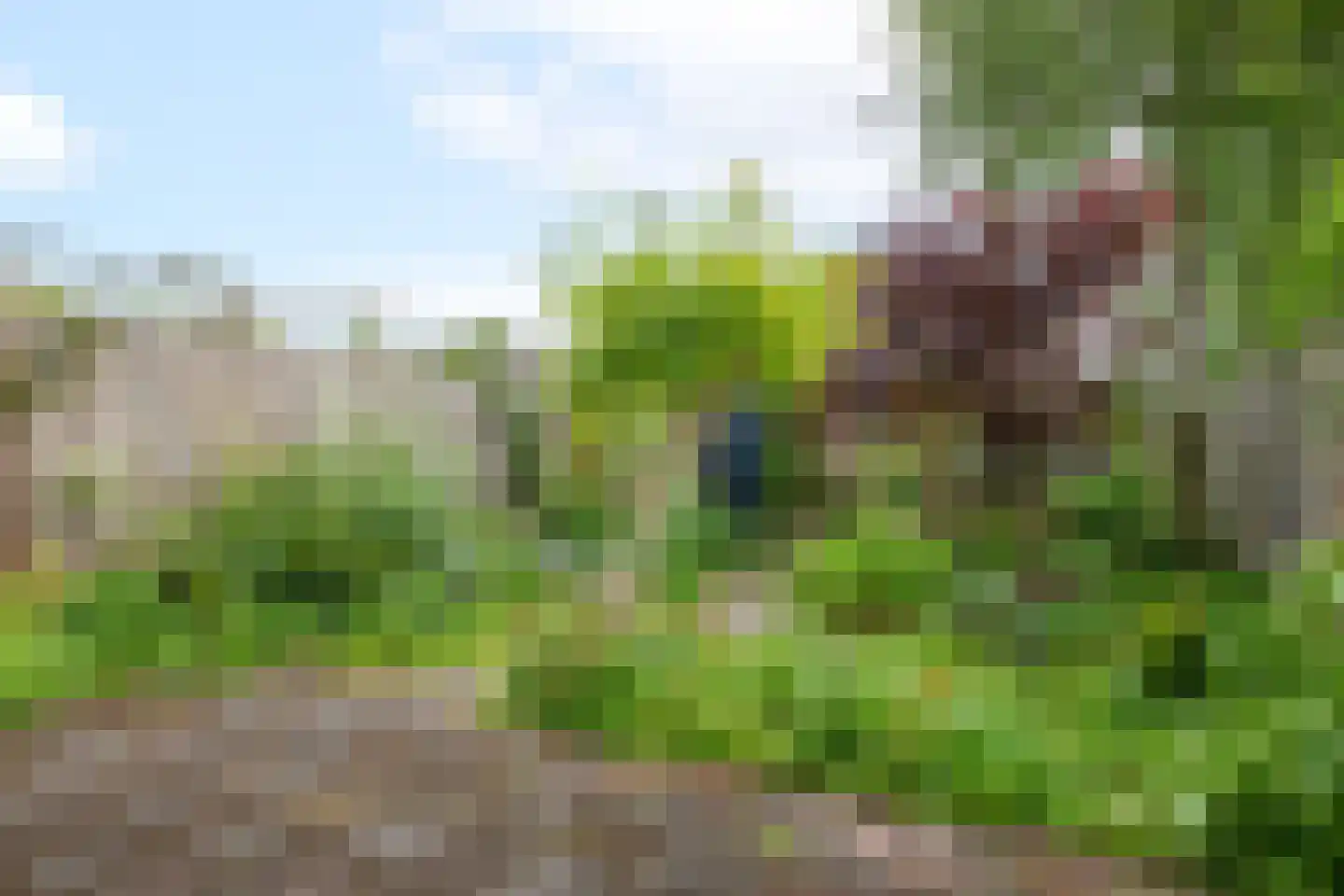 Albert Schweitzerstraat 4 Reeuwijk thumbnail 5