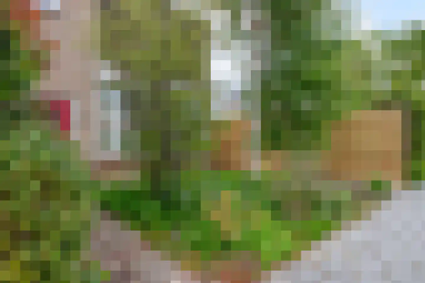 Albert Schweitzerstraat 4 Reeuwijk thumbnail 8
