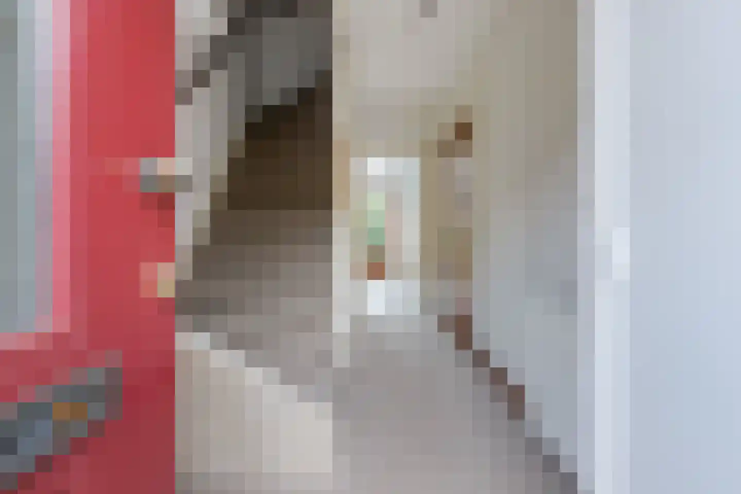 Albert Schweitzerstraat 4 Reeuwijk thumbnail 9