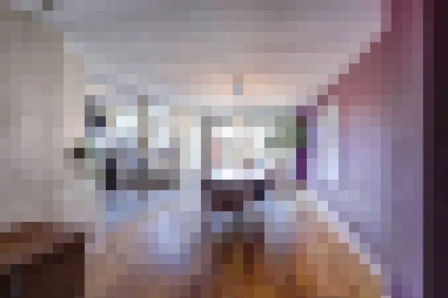 Albert Schweitzerstraat 4 Venlo thumbnail 7