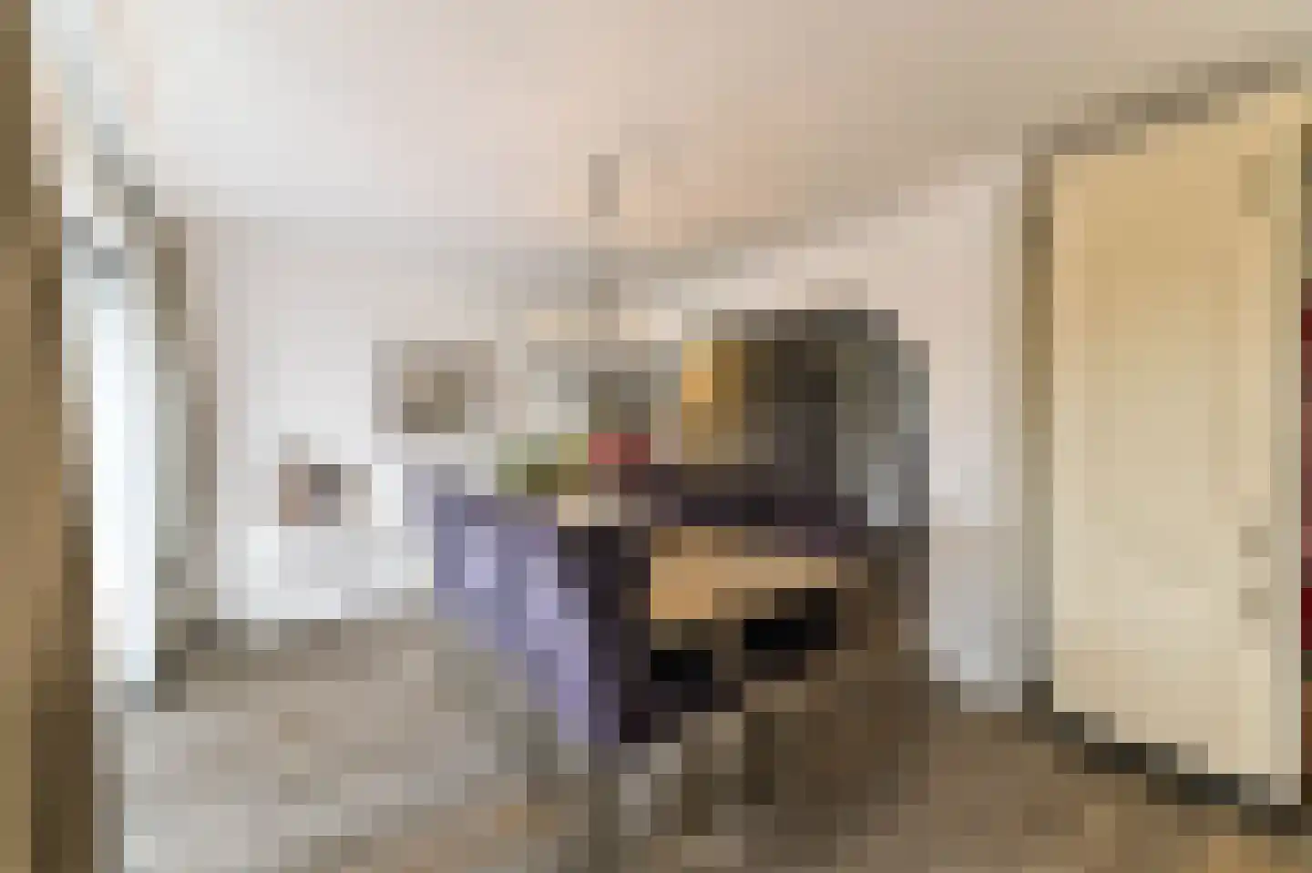 Albert Schweitzerstraat 5 Venlo thumbnail 10