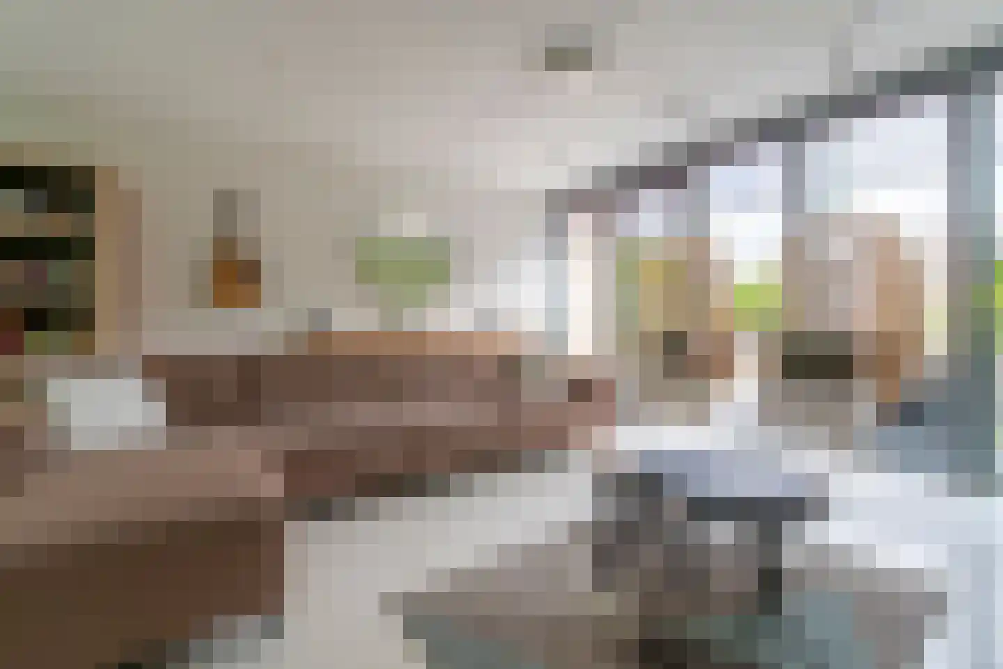 Albert Schweitzerstraat 6 Veenendaal thumbnail 12