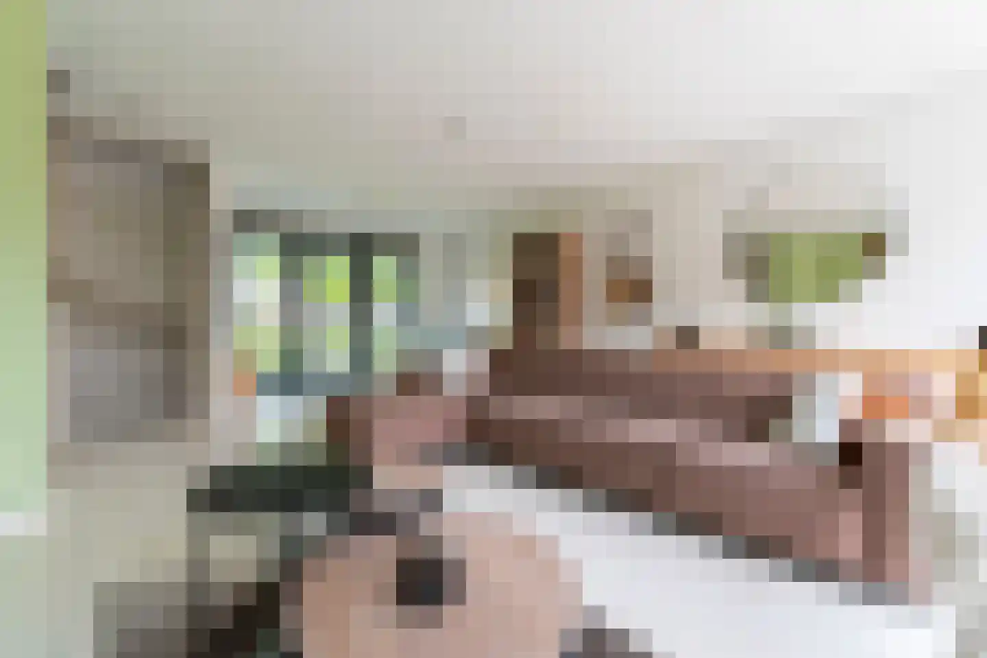 Albert Schweitzerstraat 6 Veenendaal thumbnail 15
