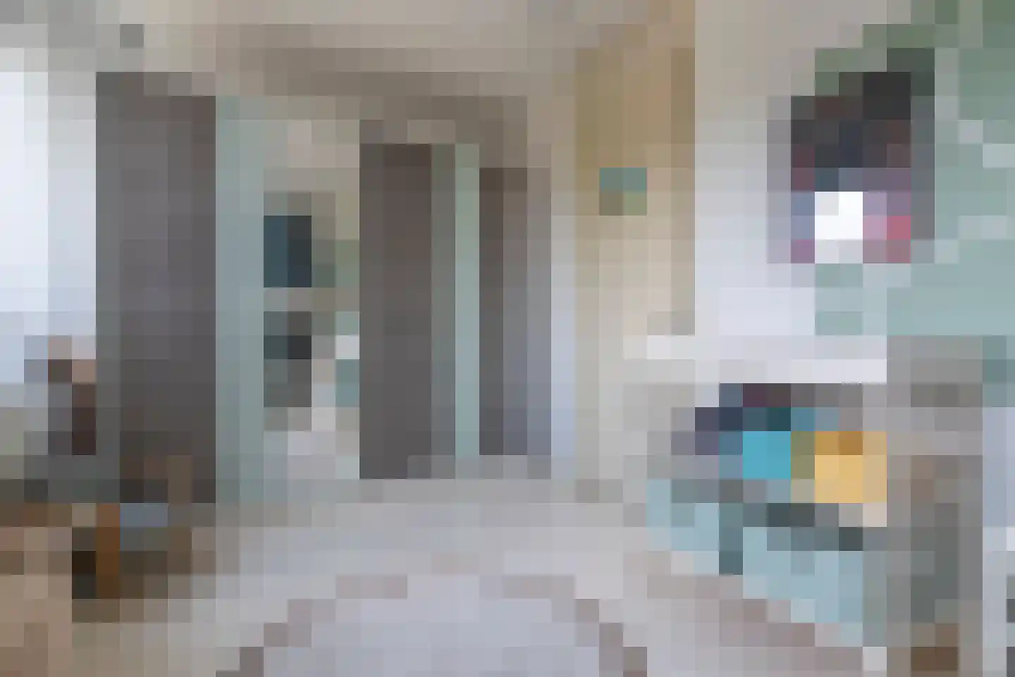 Albert Schweitzerstraat 6 Veenendaal thumbnail 22