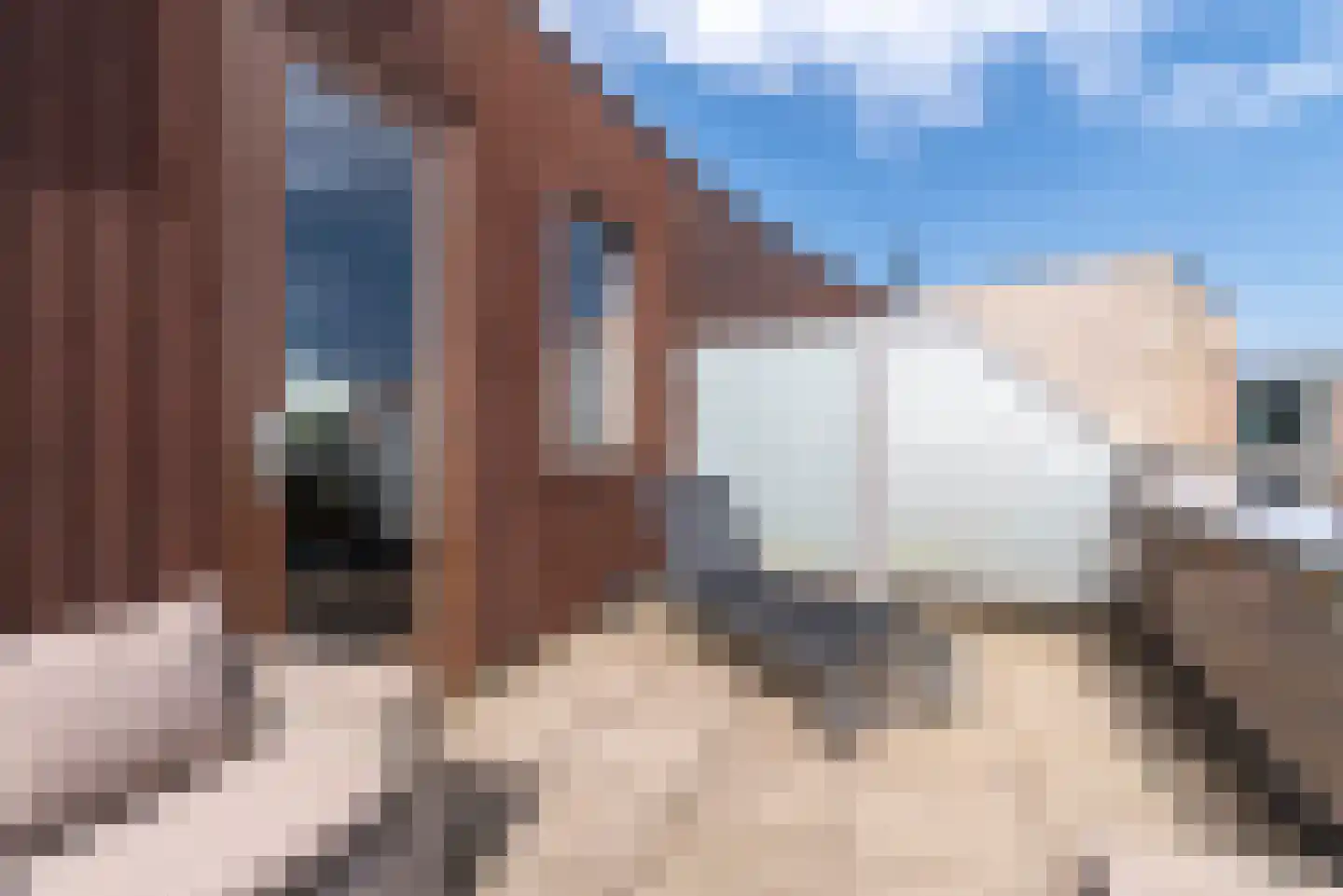 Albert Schweitzerstraat 6 Veenendaal thumbnail 32