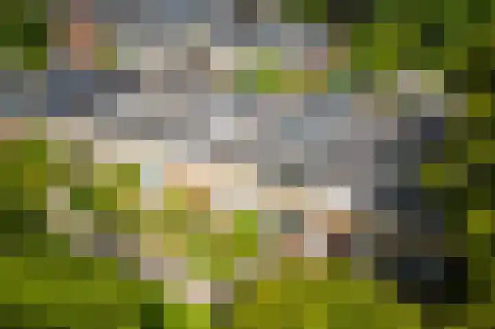 Albert Schweitzerstraat 61 Diemen thumbnail 49