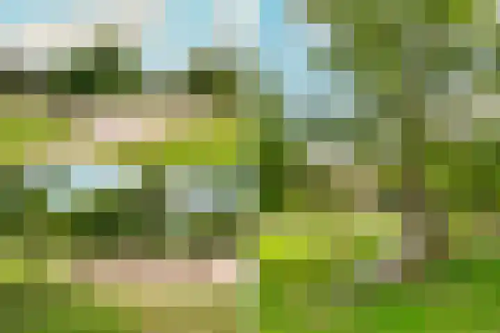 Albert Schweitzerstraat 61 Diemen thumbnail 56