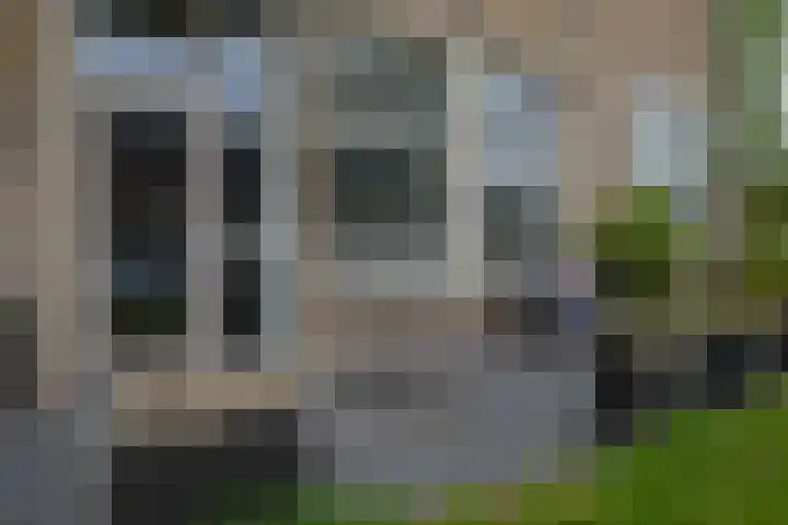 Albert Schweitzerstraat 63 Deurne thumbnail 12